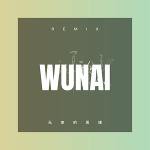 无奈的思绪 (Remix)