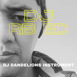 DJ DANDELIONS (REMIX)