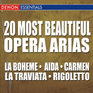 The Barber of Seville: Una Voce Poco Fa (塞维利亚理发师：“一个美妙的声音”)