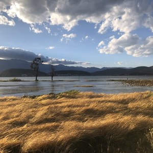 小重山的声音 20181115