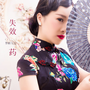 漂泊的人 - 梦醉九儿封面