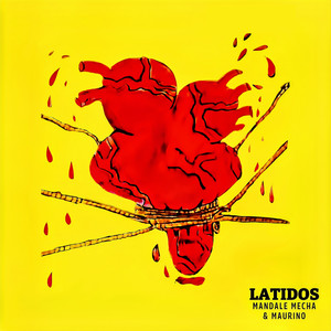 LATIDOS