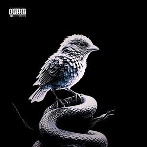 real spill (Explicit)