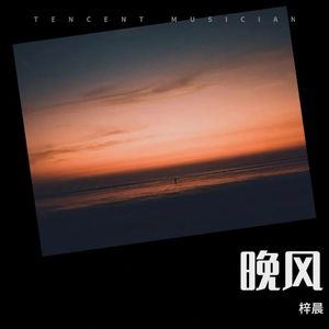 城里的月光