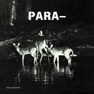 PARA— (Explicit)