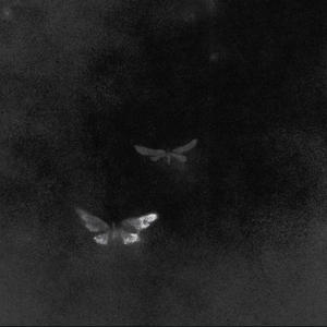 LEFT ON READ (feat. 334SPLASH & STARRIST) (Explicit)