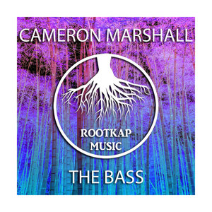 The Bass (Original Mix)