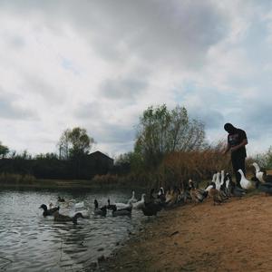 Ya No Jala(Cap.5: Cisma)