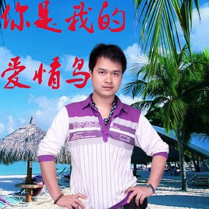 你是我的爱情鸟