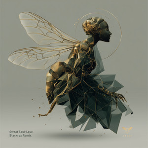 Sweat Sour Love (Blackrox Remix Radio)