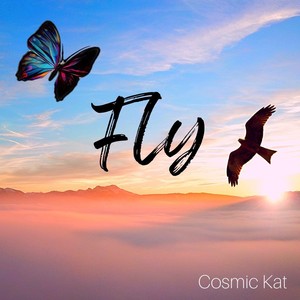 Fly