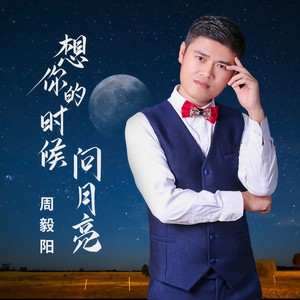 想你的时候问月亮