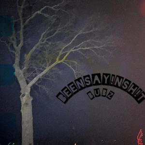 BEENSAYINSHIT (Explicit)