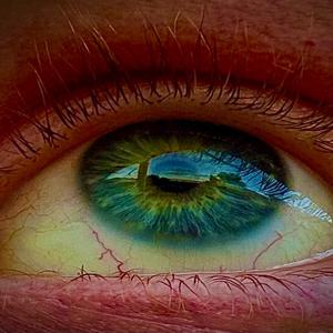 The Trip (feat. @prncesaaxx (wherever you are))