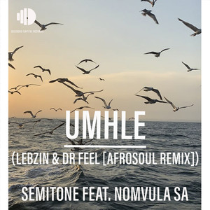 Umhle (Radio Edit|Lebzin & Dr Feel AfroSoul Remix)