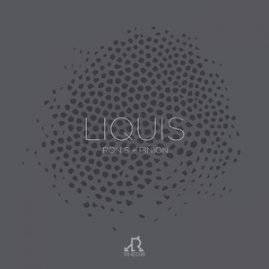 Dark Skies (Pinion Remix)