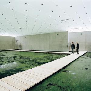 i wanna see you (Explicit)