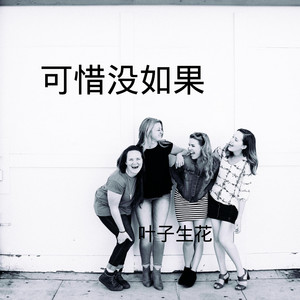 开心的马骝 (DJ版)