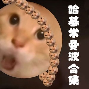 His Theme (哈基米版) - 热歌姬封面