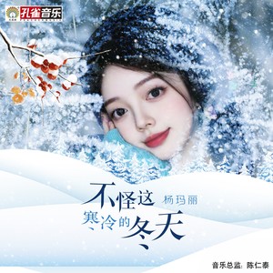 不怪这寒冷的冬天