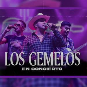 Los Gemelos En Concierto