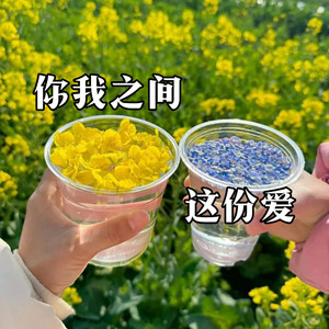 你我之间这份爱