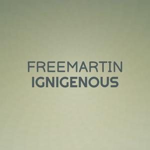 Freemartin Ignigenous