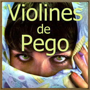 Violines De Pego - Gypsy Violin(Serenade in the Night)