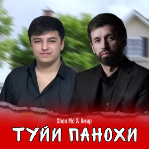 Туйи панохи