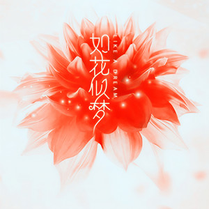 董小坛 - 如花似梦