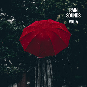 Rain Sounds Vol. 4, The Rain Library