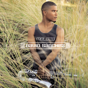 Centinela (Album Version)