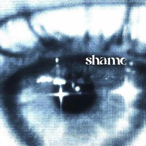 Shame (feat. Lemonopole) [Explicit]