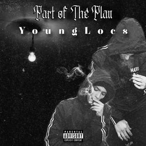 Part of the plan (Explicit)