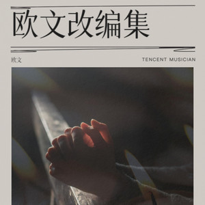 走着走着就散了 (欧文 remix)