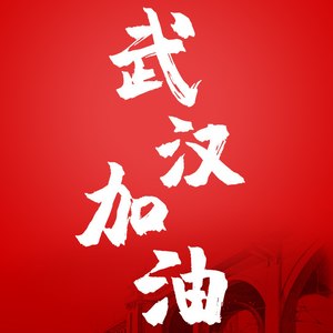 武汉加油 加油武汉