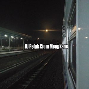 DJ Peluk Cium Mengkane