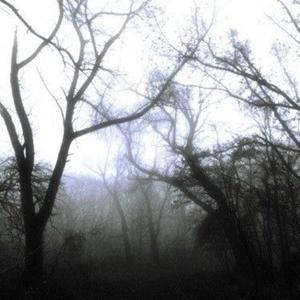 Clones (feat. spiritrealm) (Explicit)