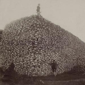 IL MONDO È NOSTRO (Explicit)