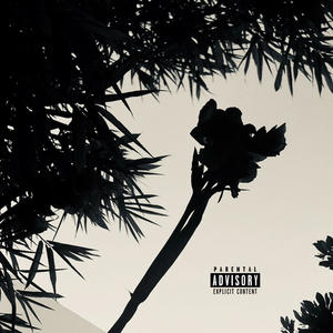 everything hurts (it's fine) (feat. feedbackotw) (Explicit)