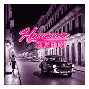 Havana Nights