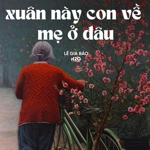 Xuân Này Con Về Mẹ Ở Đâu (Lofi)