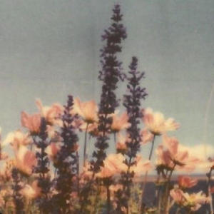 Rid of this feeling (Explicit)