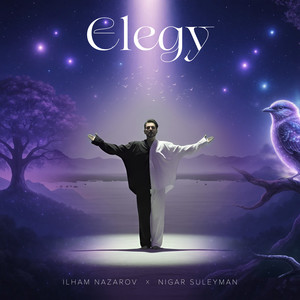 Elegy