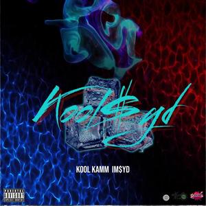 RUN (feat. L.B. Kool) (Explicit)