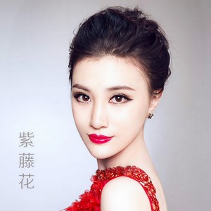 紫藤花封面