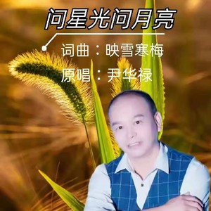 问星光问月亮