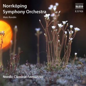 2 Elegiac Melodies, Op. 34 (version for orchestra): 2 Elegiac Melodies, Op. 34 - No. 2. Last Spring