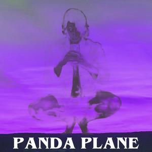 Opalite-Panda Plane