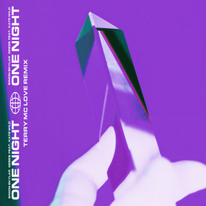 One Night (Terry McLove Remix)